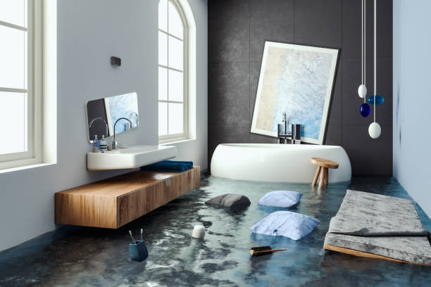 Best Local water damage restoration  in Goldthwaite, TX