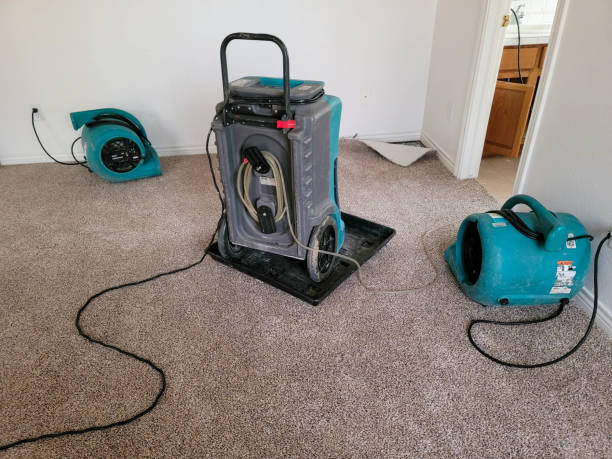 Best Flooded house restoration  in Goldthwaite, TX