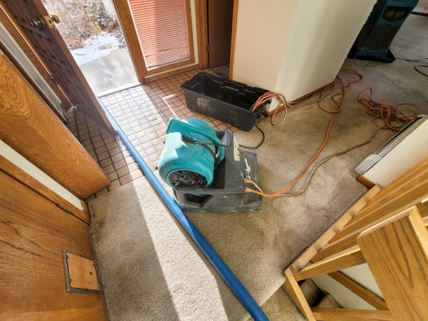 Best Water damage contractors near me  in Goldthwaite, TX