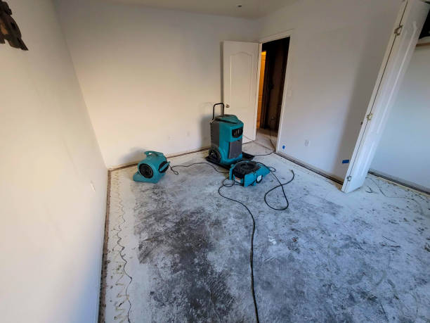 Best Water damage restoration near me  in Goldthwaite, TX