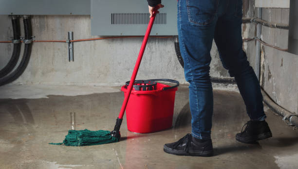 Best Basement water damage restoration  in Goldthwaite, TX
