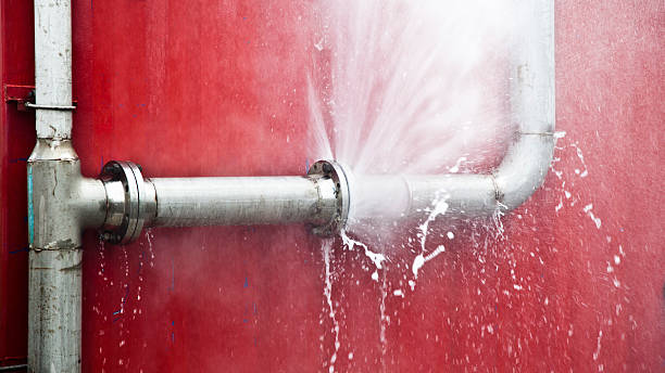 Best Local water damage restoration  in Goldthwaite, TX